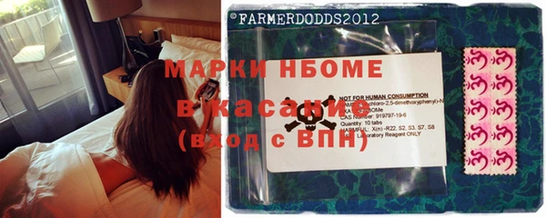 стаф Арсеньев
