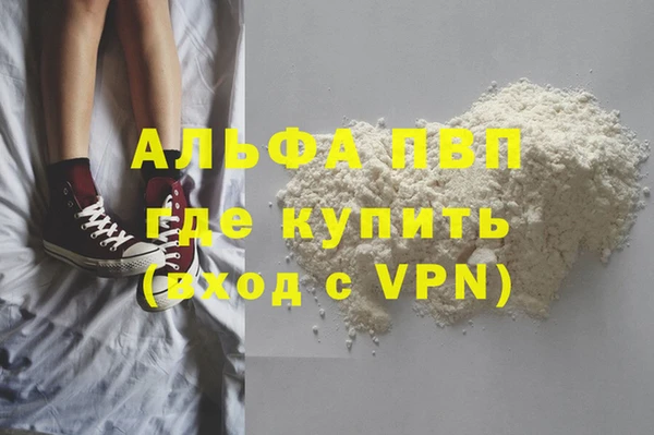 стаф Арсеньев
