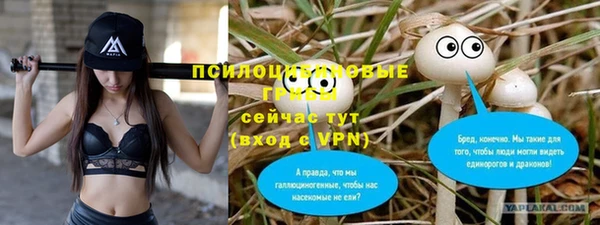 первитин Балахна