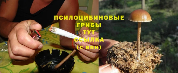 стаф Арсеньев