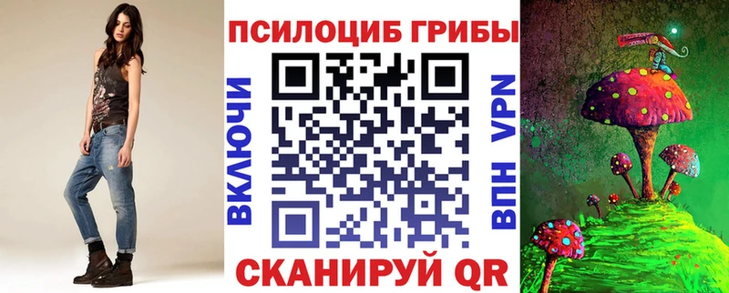даркнет сайт  Канаш  Псилоцибиновые грибы Psilocybe 